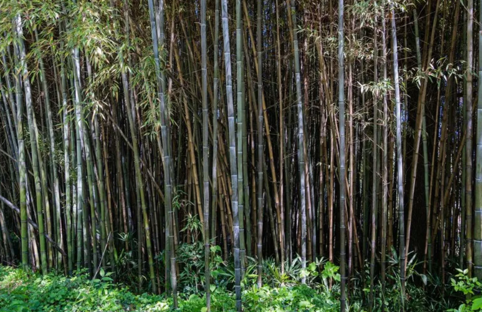 Problemas económicos a la vista