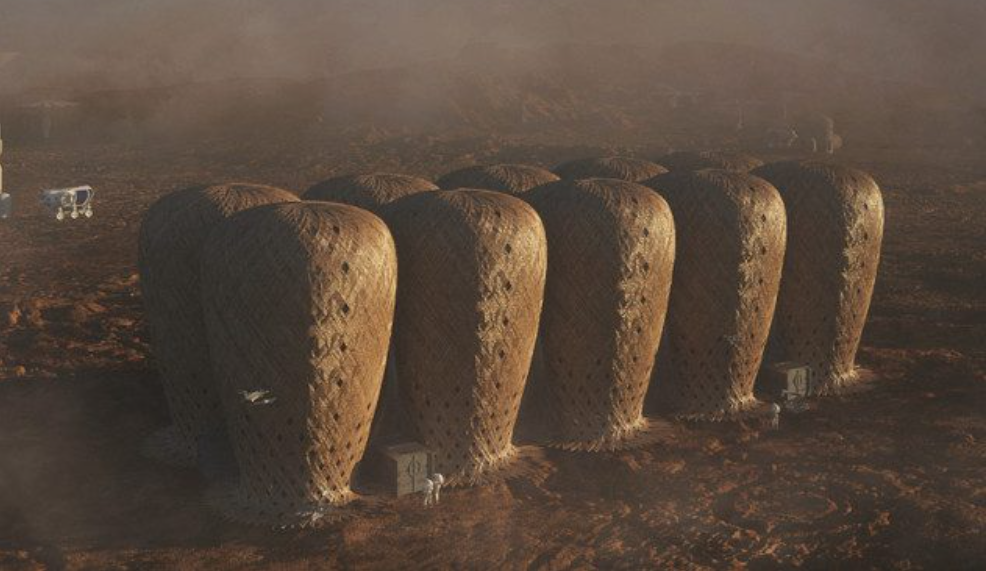 ¿Por qué colonizar Marte con bambú puede ser la clave?