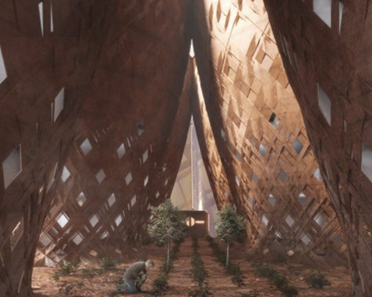 Colonizar Marte con bambú, una idea que parece de película