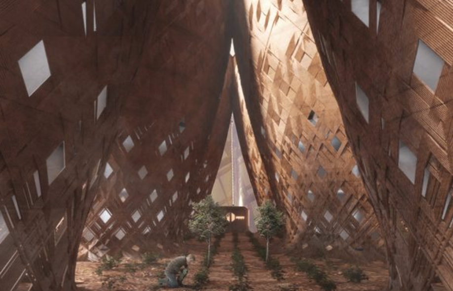 Colonizar Marte con bambú, una idea que parece de película