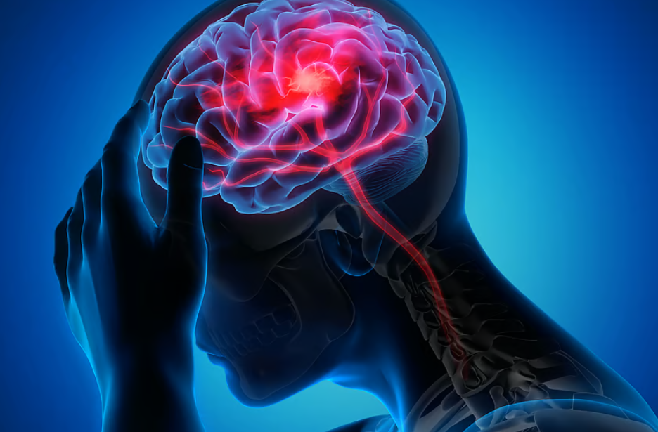 Impacto inmunológico y celular de los microplásticos