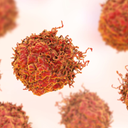 Vínculo entre el VPH y el cáncer, estudio demuestra que esta más relacionados de lo que se cree