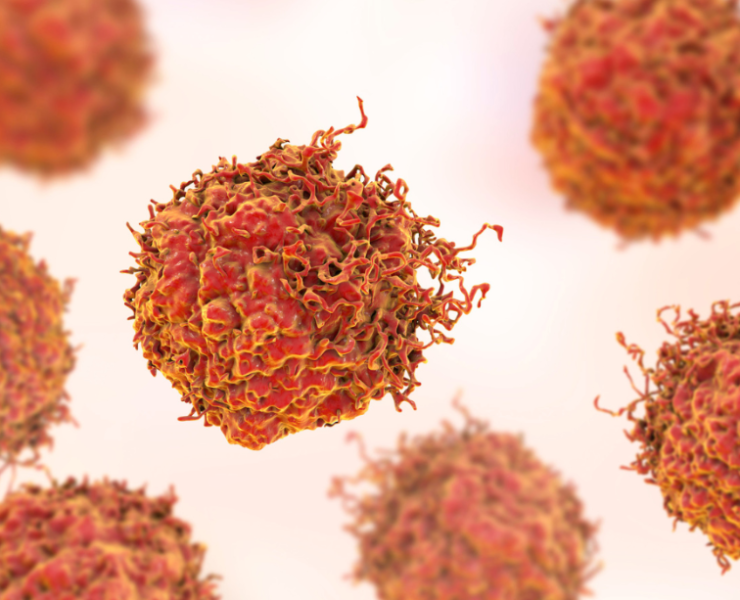 Vínculo entre el VPH y el cáncer, estudio demuestra que esta más relacionados de lo que se cree