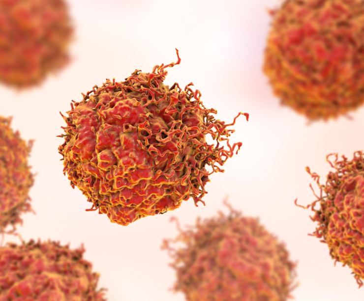 Vínculo entre el VPH y el cáncer, estudio demuestra que esta más relacionados de lo que se cree