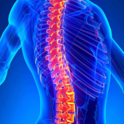 Un fármaco que regenera medulas óseas fue creado en Brasil