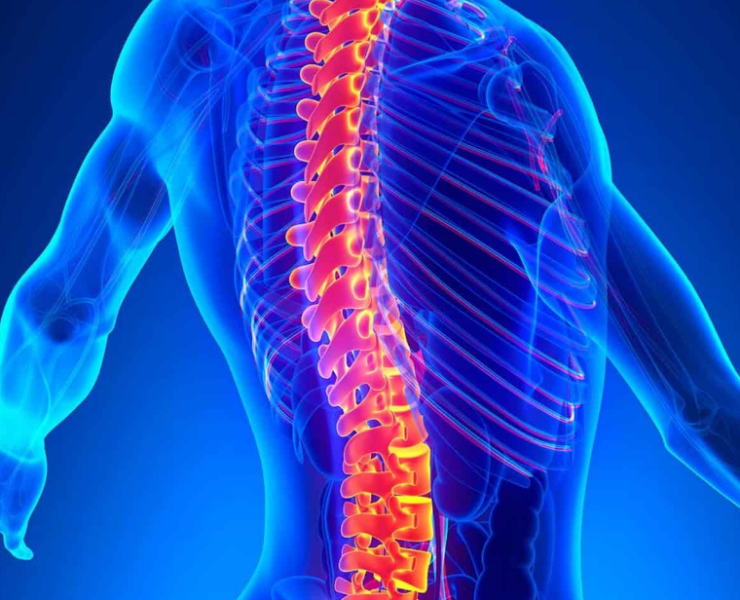 Un fármaco que regenera medulas óseas fue creado en Brasil