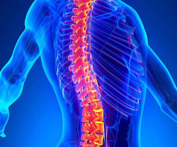 Un fármaco que regenera medulas óseas fue creado en Brasil