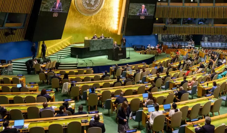 Palestina hablará a la Asamblea de la ONU en videollamada: una decisión que desafía a EE.UU.