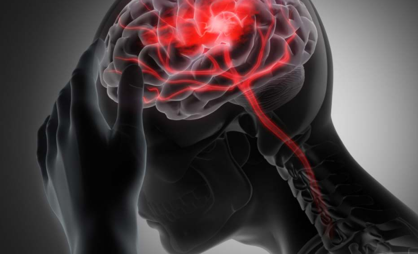 Científicos revierten el daño cerebral causado por un accidente cardio vascular