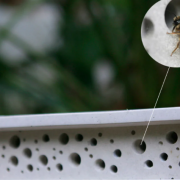 Crean ladrillos para abejas y ya son obligatorios en el Reino Unido