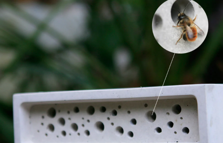 Crean ladrillos para abejas y ya son obligatorios en el Reino Unido