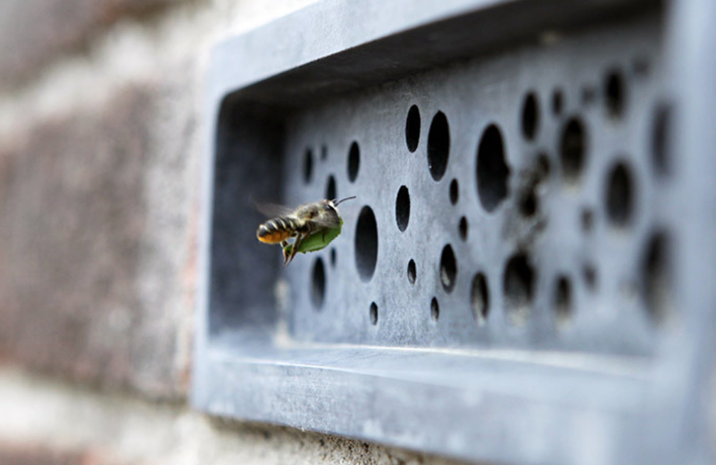 ¿Realmente ayudan los ladrillos de abejas?