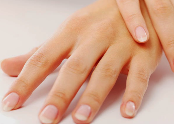 El origen evolutivo de los dedos es algo totalmente inesperado, nuevo estudio sorprende a todos