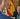 España se suma a coalición internacional contra Israel