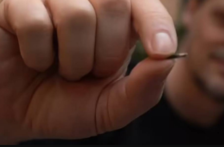 ¿Por qué Suecia adopta chips implantables?