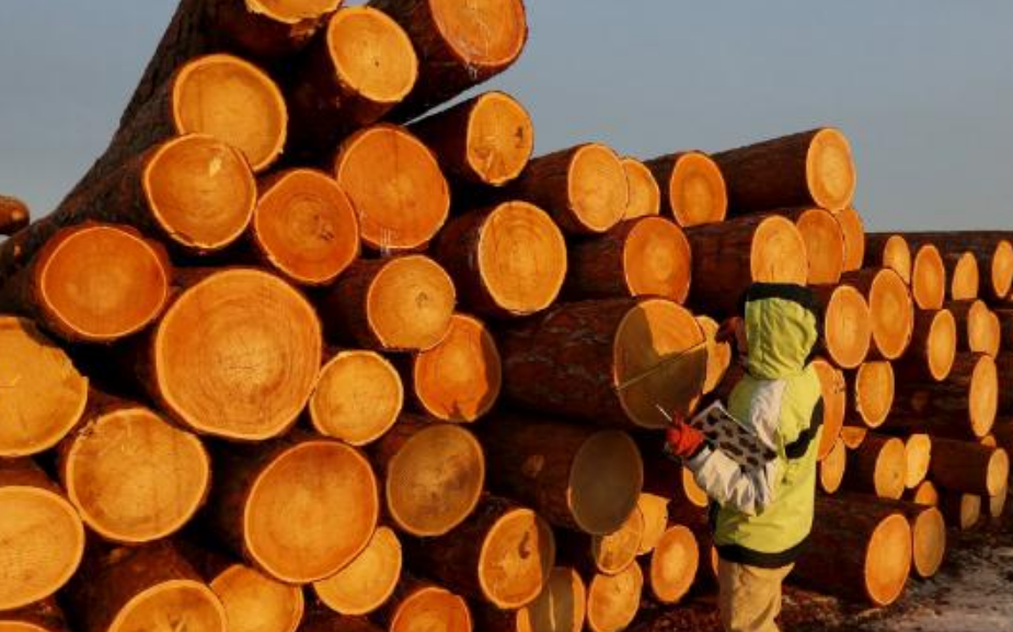 Trump impone aranceles a la madera, afectando a grandes industrias