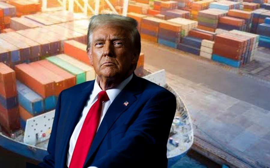 ¿Por qué Trump impone aranceles a la madera?