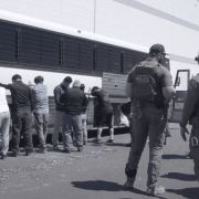 Corea del Sur repatriará a 300 trabajadores de Hyundai detenidos