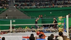 Momentos épicos del Día Nacional de la Lucha Libre, donde cada máscara y cada movimiento cuentan una historia de pasión y tradición mexicana.