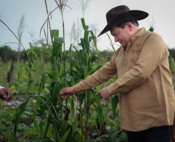 Renace el campo: Díaz Mena supervisa construcción de caminos sacacosechas en Kinchil