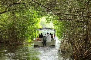 Postales naturales de Isla Pájaros, el arco de manglares que conduce al ojo de agua Baldiosera y la elegancia del flamenco del Caribe fueron compartidas con representantes de agencias turísticas por cooperativistas locales