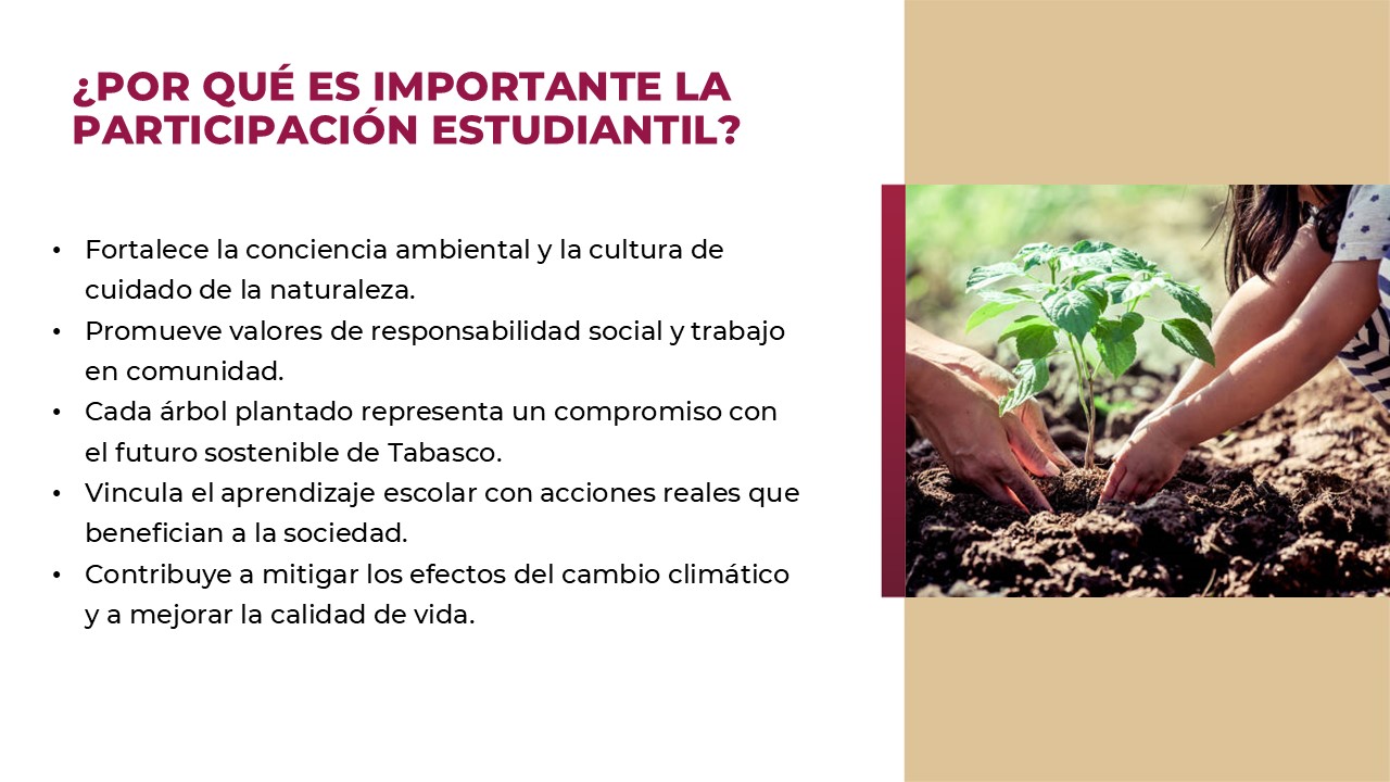 Gran Jornada de Reforestación 2025