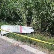 ¡Repudio total! Hombre mata cruelmente a un perro y lo detienen en Conkal