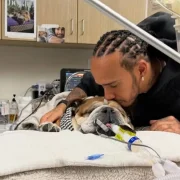 La emotiva razón por la que Hamilton pausó sus compromisos con Ferrari