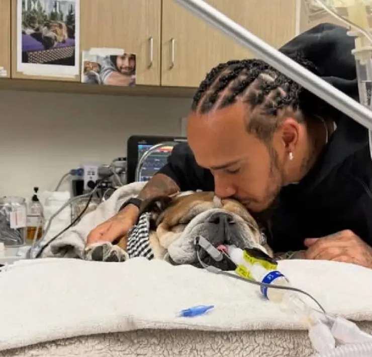 La emotiva razón por la que Hamilton pausó sus compromisos con Ferrari