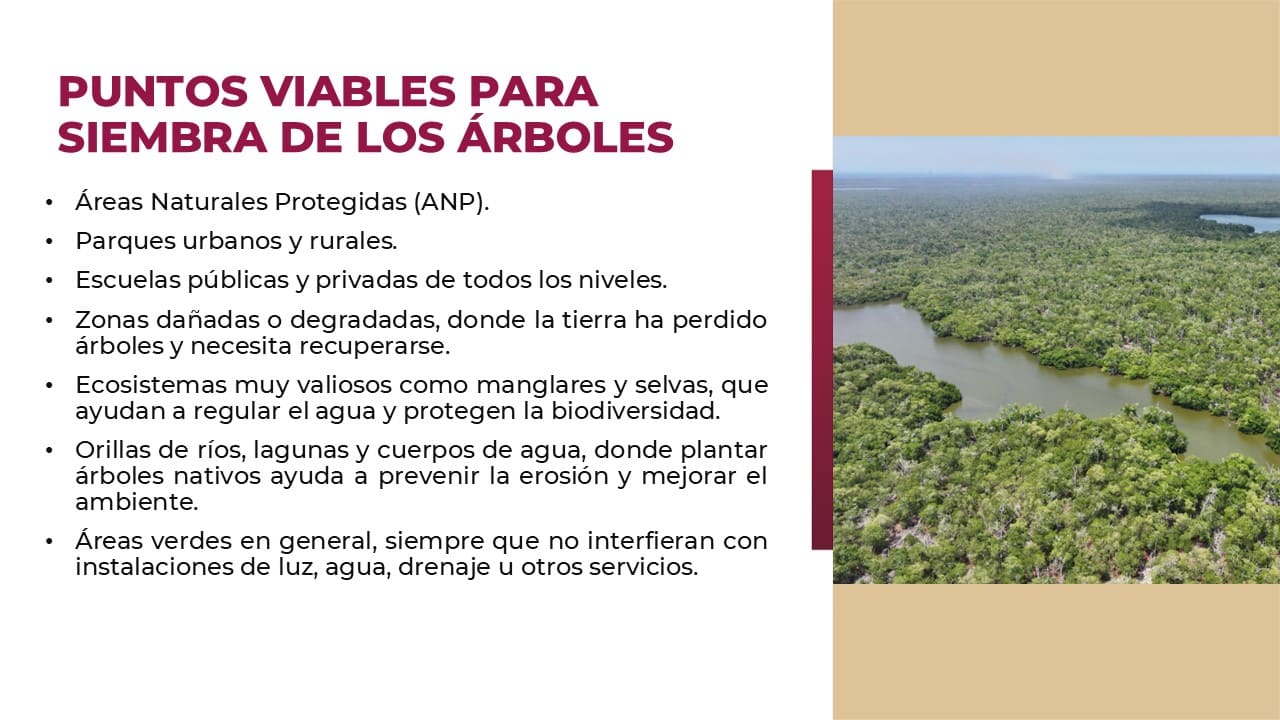 Llama el gobernador a participar en la histórica Jornada de Reforestación
