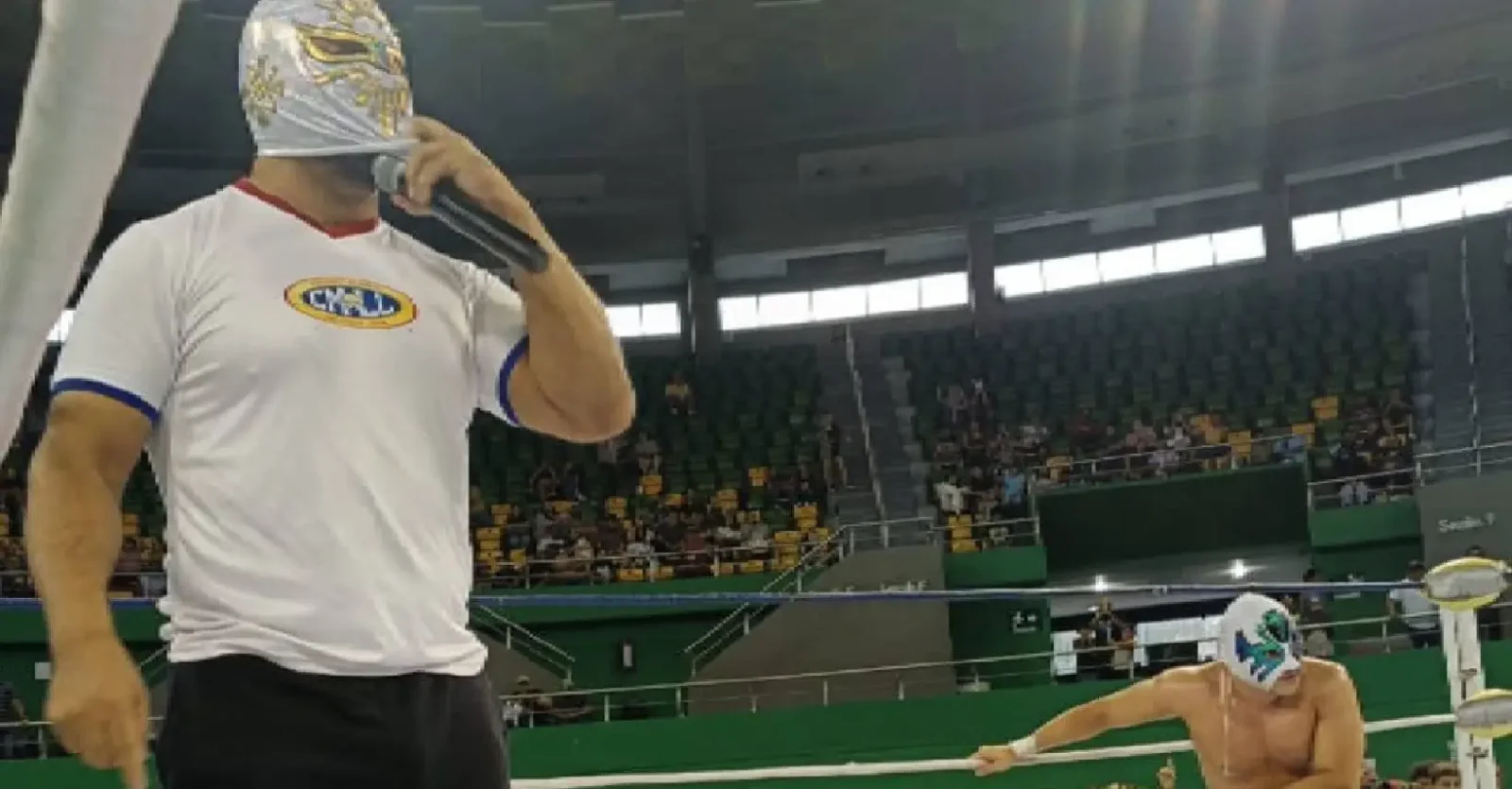 Origen del Día Nacional de la Lucha Libre