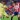 Primeras goleadas más recordadas entre América y Chivas