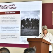 Recuperarán importantes especies con Jornada de Reforestación