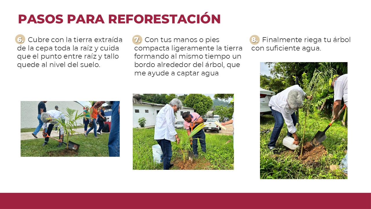 Recuperarán importantes especies con Jornada de Reforestación