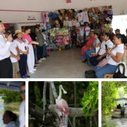 Turismo sustentable en Celestún fortalece lazos con agencias de viajes