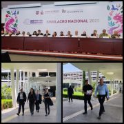 Entre memoria y prevención: mexicanos reviven traumas y aprendizajes en el macrosimulacro del 19S