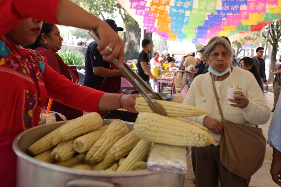 Clara Brugada impulsa rescate del maíz nativo con Feria de la Agrobiodiversidad en CDMX