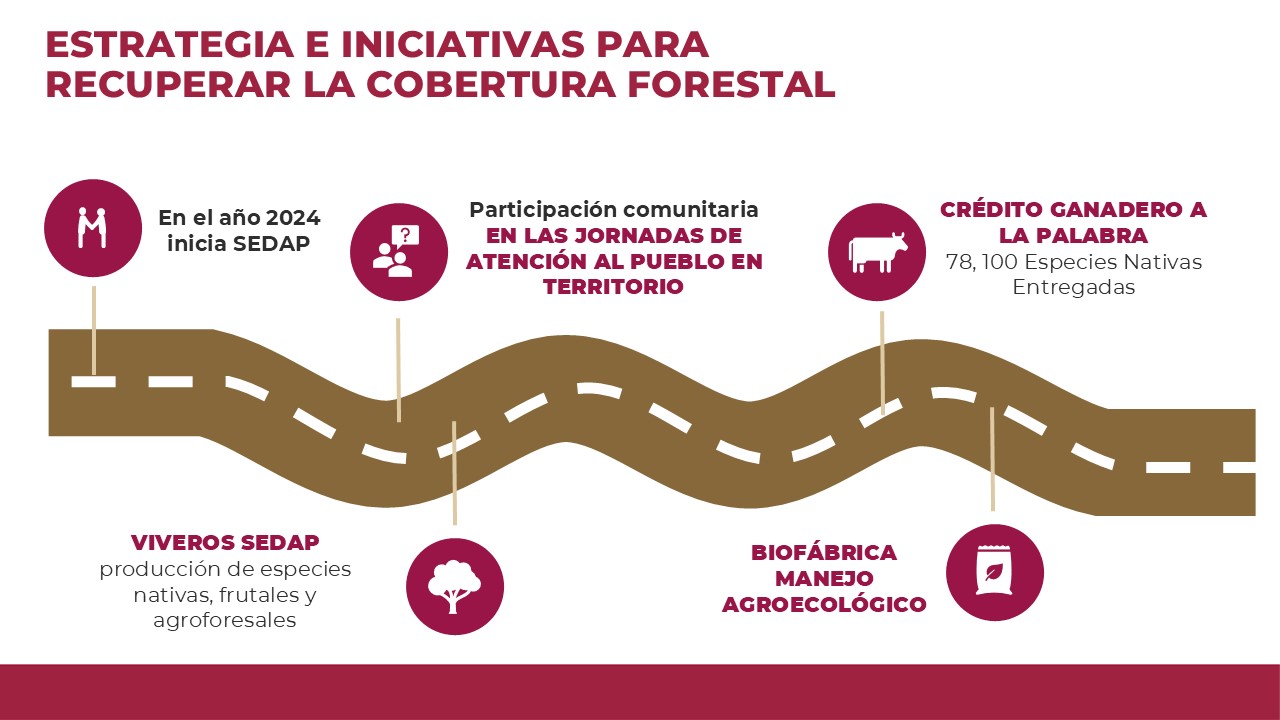 campaña de reforestación