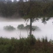 Pemex controla fuga de gas LP en Nanacamilpa provocada por toma clandestina