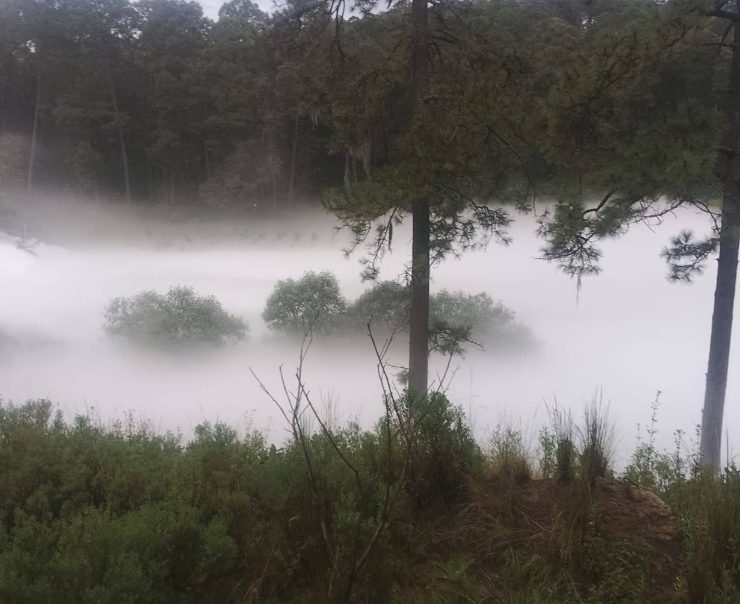 Pemex controla fuga de gas LP en Nanacamilpa provocada por toma clandestina