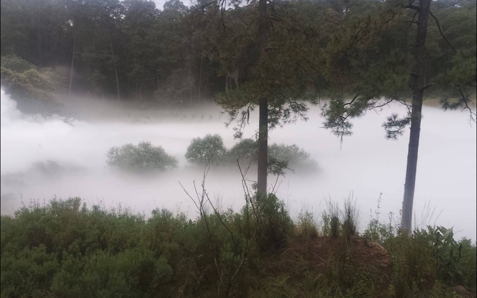 Pemex controla fuga de gas LP en Nanacamilpa provocada por toma clandestina