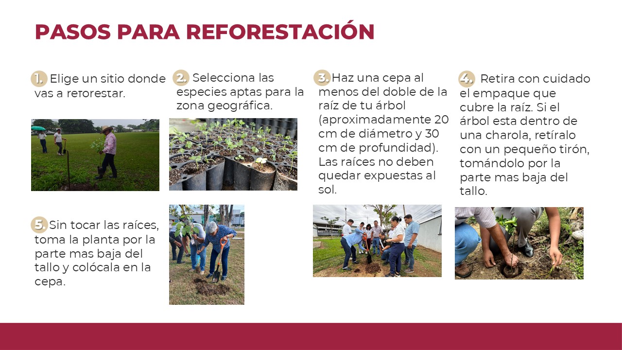 iniciativa del Gobierno del Estado de Tabasco