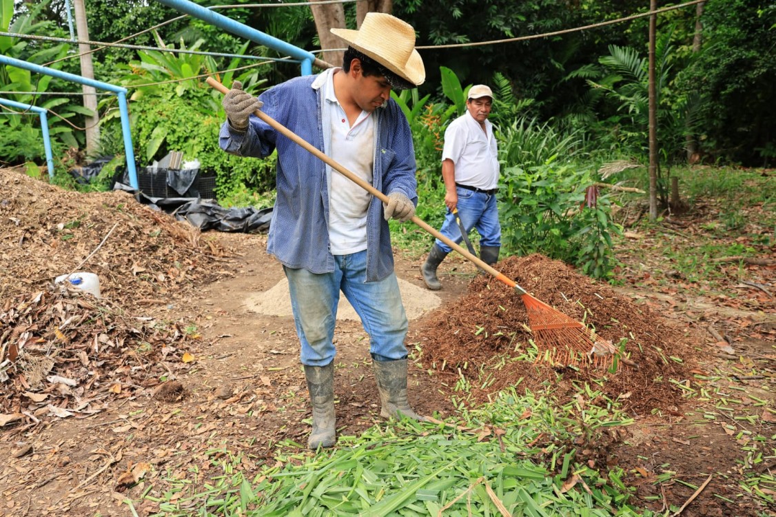 el vivero El Dorado