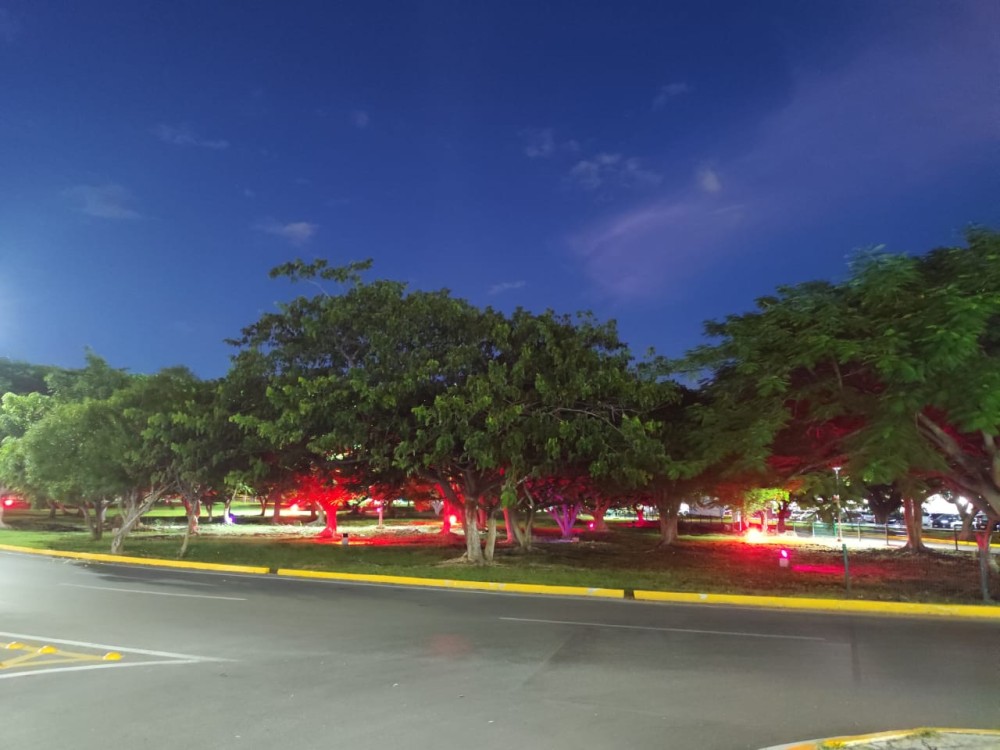 Aeropuerto Internacional de Mérida se une a la causa