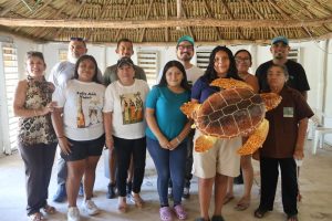 Refuerzan protección de tortugas marinas al cierre de temporada en costas de Yucatán
