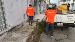Personal de la Alcaldía de Campeche retirando 10 toneladas de basura en el fraccionamiento Valle del Sol, demostrando cómo sigue la atención de servicios públicos.