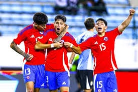 La Selección de Chile anfitriona del Mundial Sub-20, clasificó a los octavos de final, con dos derrotas y una victoria en fase de grupos.
