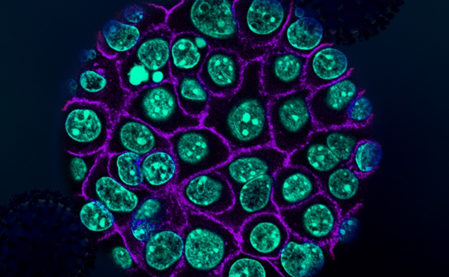 ¿Cómo es posible que usen la gripe contra el cáncer?