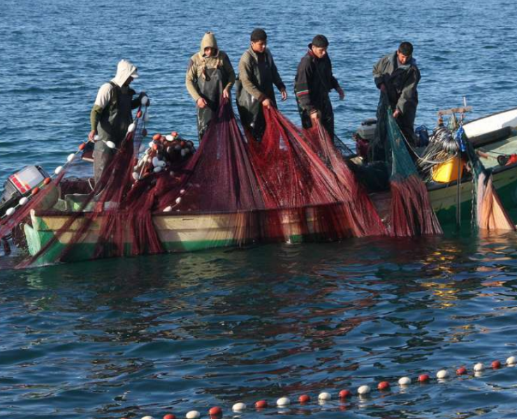 Palestinos en Gaza pescan aprovechando la intervención de la Flotilla Global Sumud