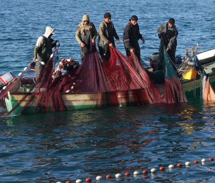 Palestinos en Gaza pescan aprovechando la intervención de la Flotilla Global Sumud